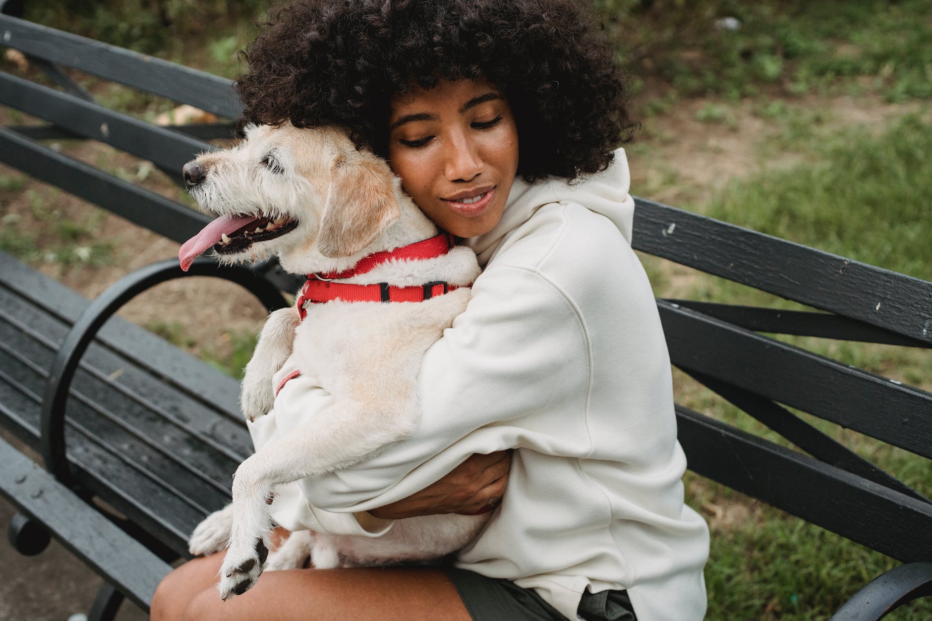 Register Your Pet as an Emotional Support Animal